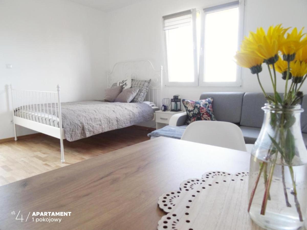 Apartament Karkonoska Przesieka Exteriér fotografie