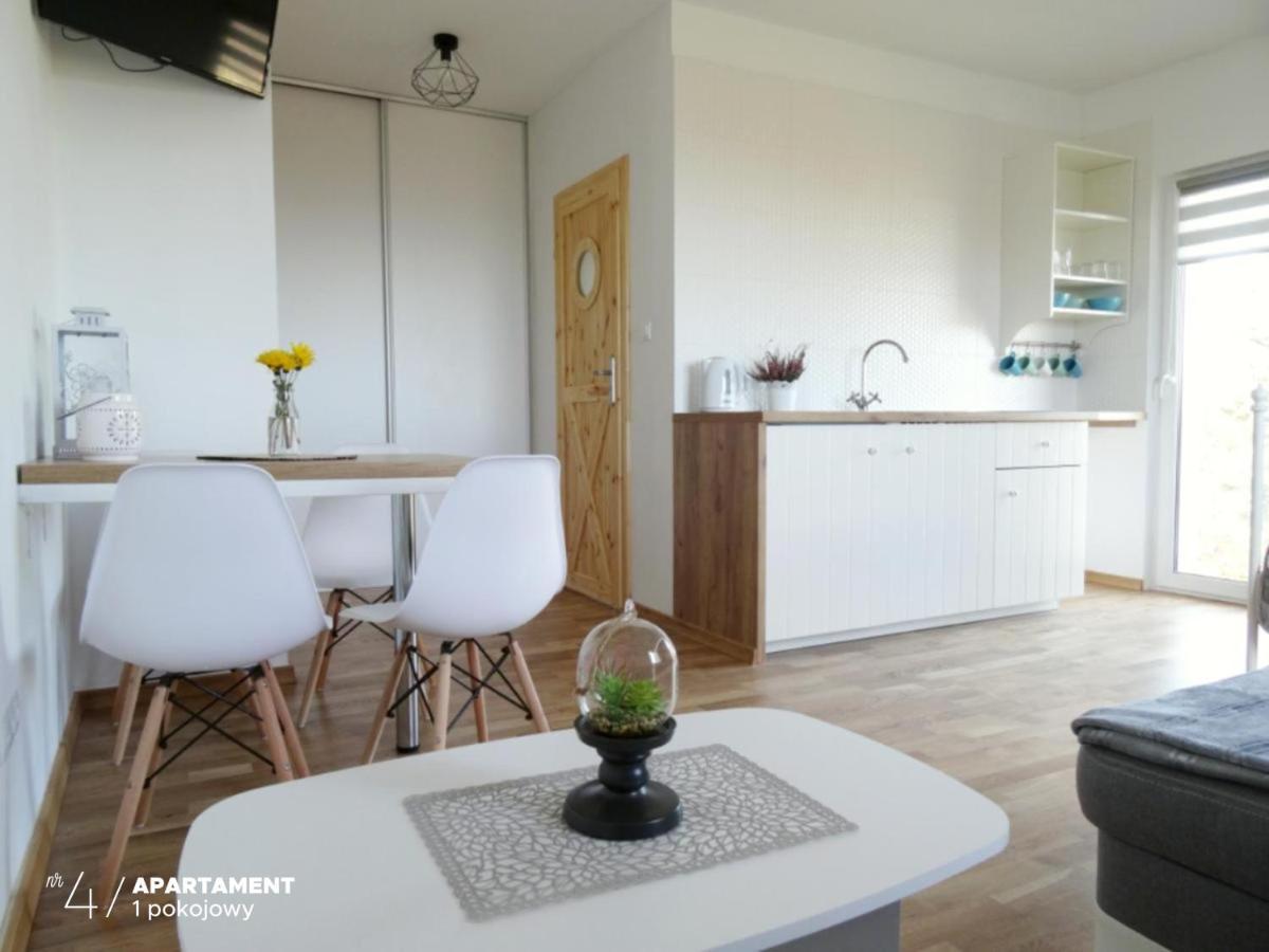 Apartament Karkonoska Przesieka Exteriér fotografie
